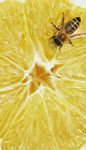 Load image into Gallery viewer, Italian Citrus - 50ml Perfume