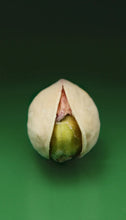 Load image into Gallery viewer, Pistachio - 50ml Perfume